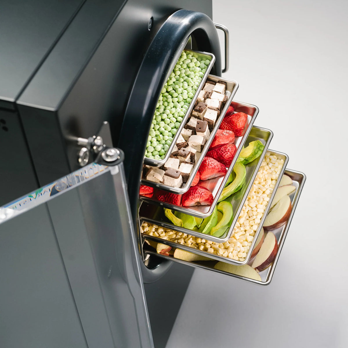Home Freeze Dryer