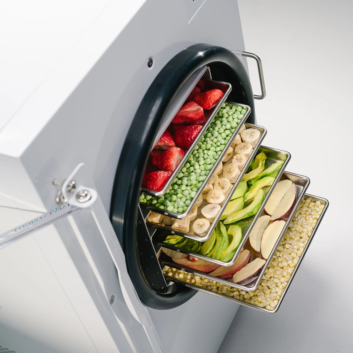 Home Freeze Dryer