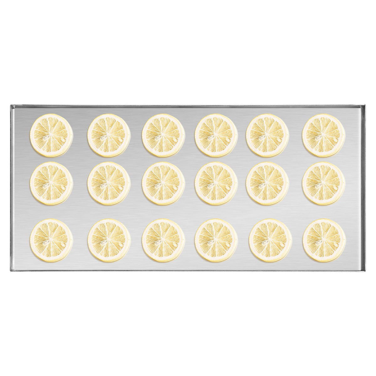 Vacuum Freeze Dryer 4-Layer Fruit Vegetable Freeze Drying Machine W/ Pump White