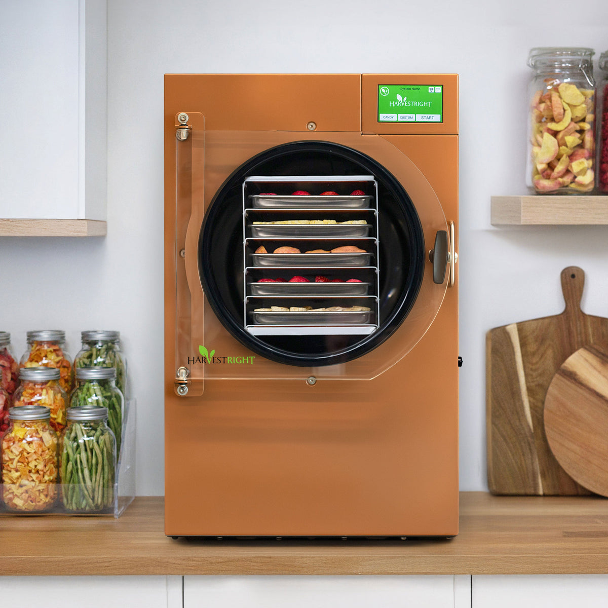 Home Freeze Dryer