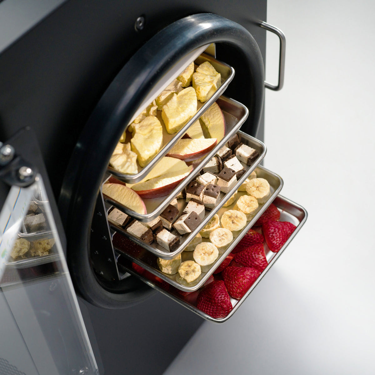 Home Freeze Dryer